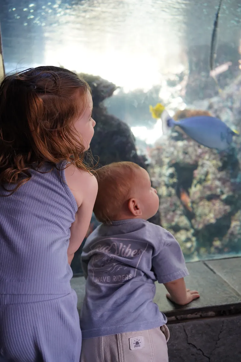 Kids at Aquarium